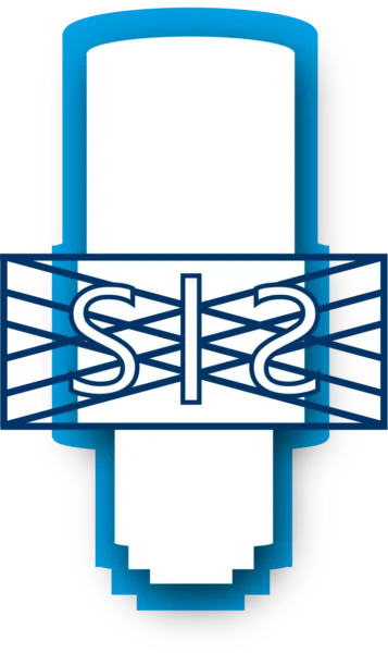 Logo S1S 2024